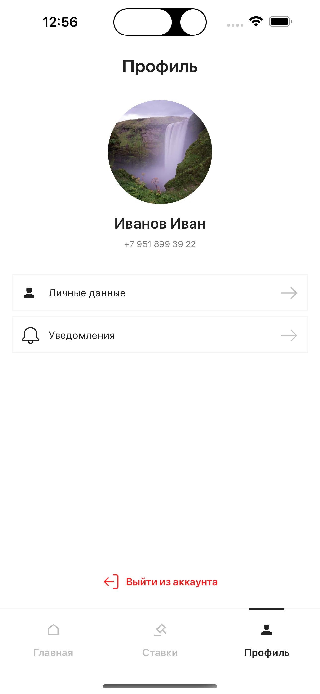 Аукцион screenshot